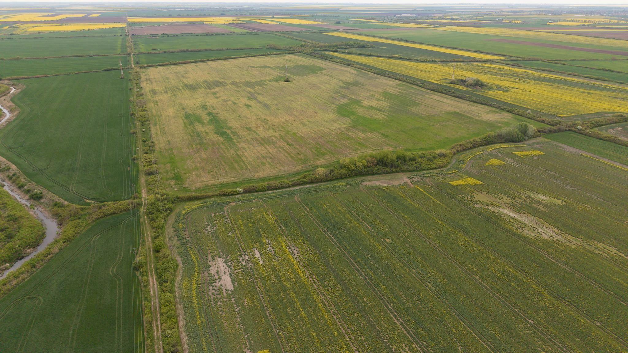 Teren investițional strategic 44.700 mp Arad Vest - 19