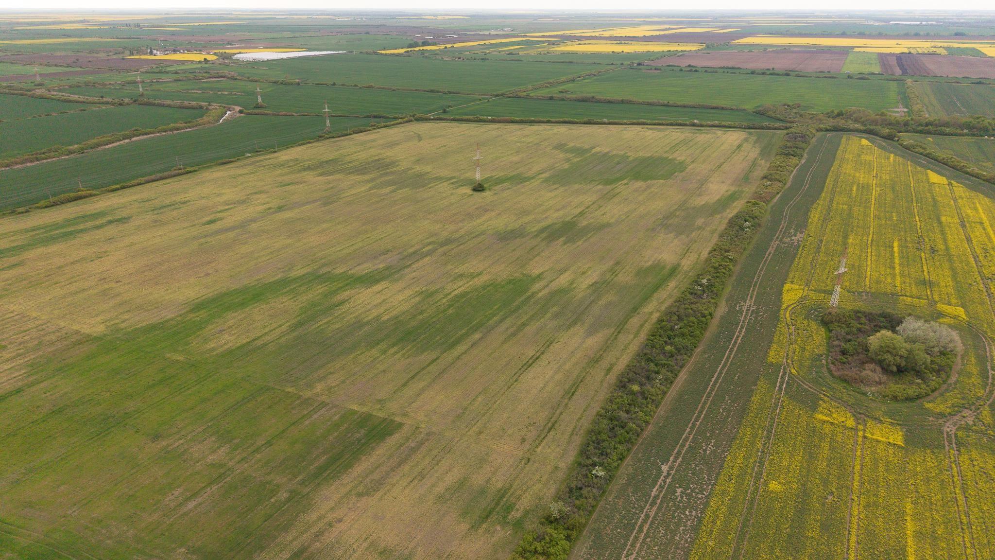Teren investițional strategic 44.700 mp Arad Vest - 10