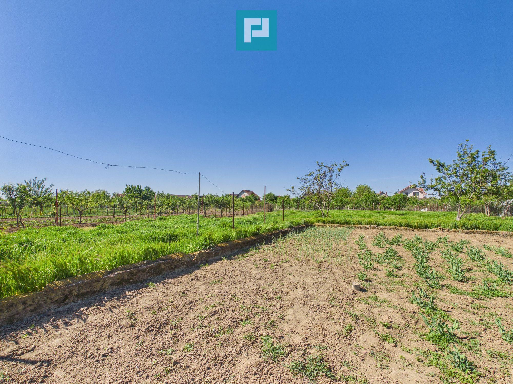 Casă 4 camere Girișu de Criș - 8