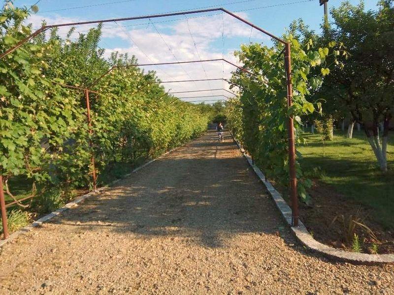 Ciopani vila 5 camere teren 4000 mp - 9