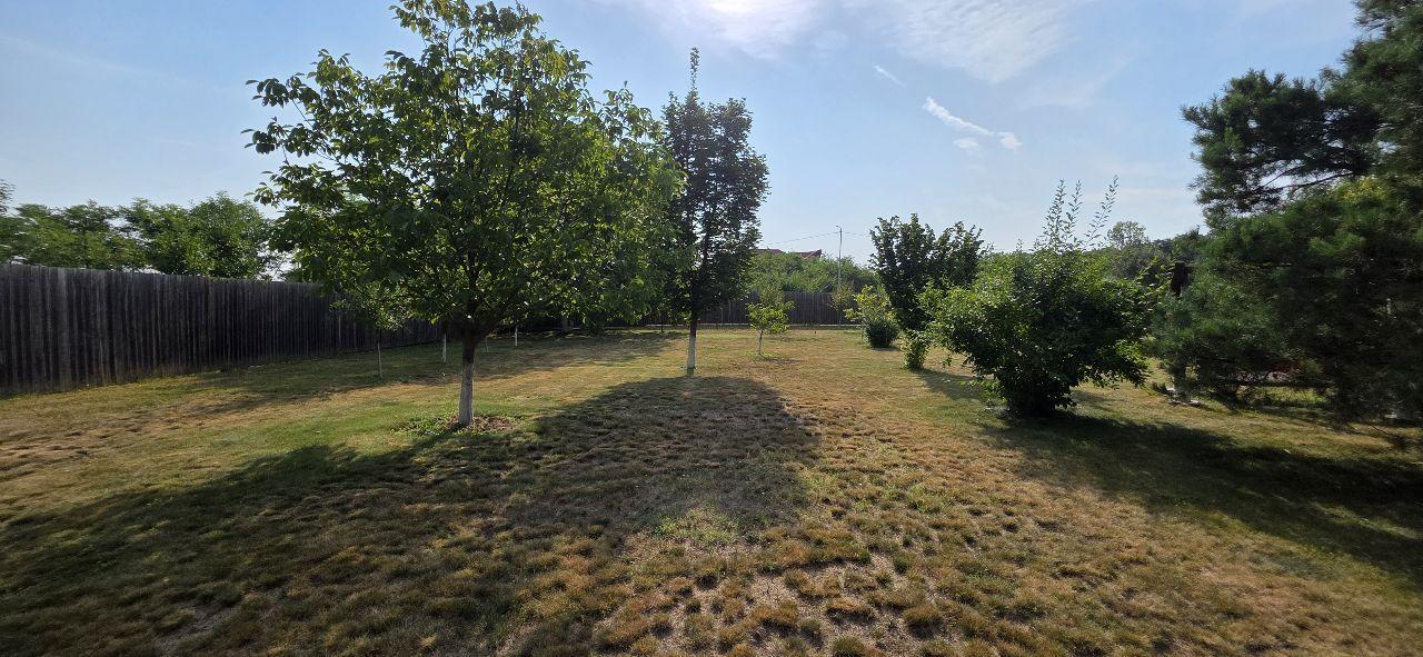 Ciopani vila 5 camere teren 4000 mp - 37