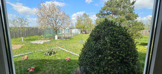 Ciopani vila 5 camere teren 4000 mp - 33