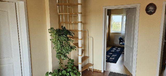 Ciopani vila 5 camere teren 4000 mp - 14