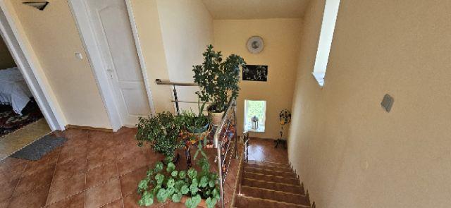 Ciopani vila 5 camere teren 4000 mp - 32