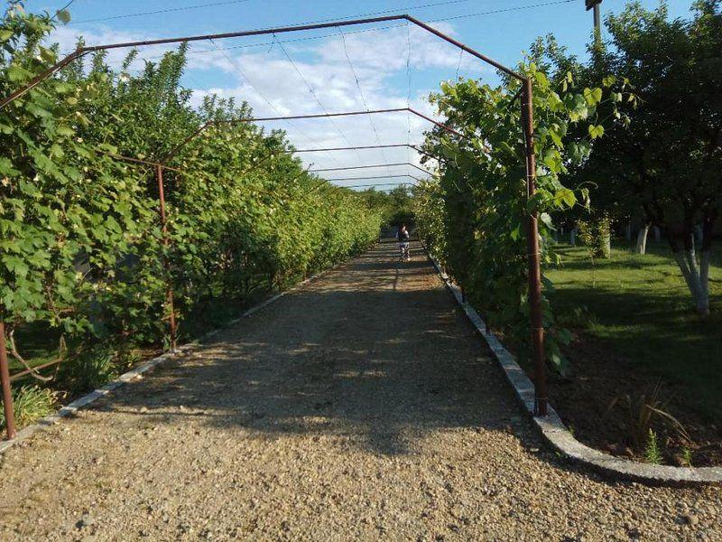 Ciopani vila 5 camere teren 4000 mp - 10