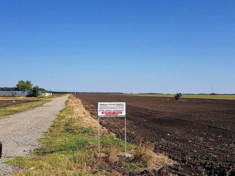 Teren intravilan de vânzare Brănești – DN3, deschidere 60 ml investie - 2