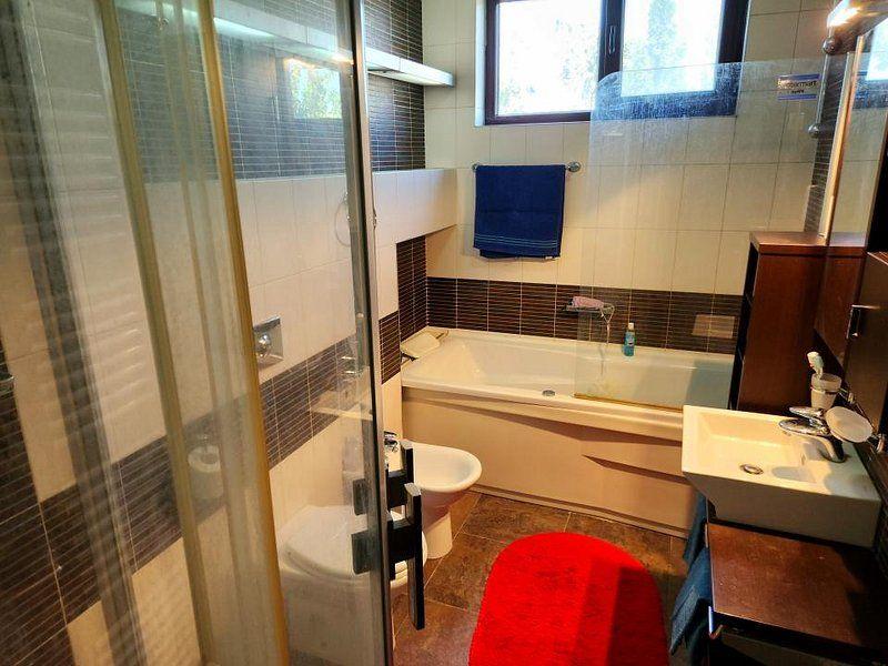 Baneasa Teisani vila 7 camere teren 1000 mp - 18