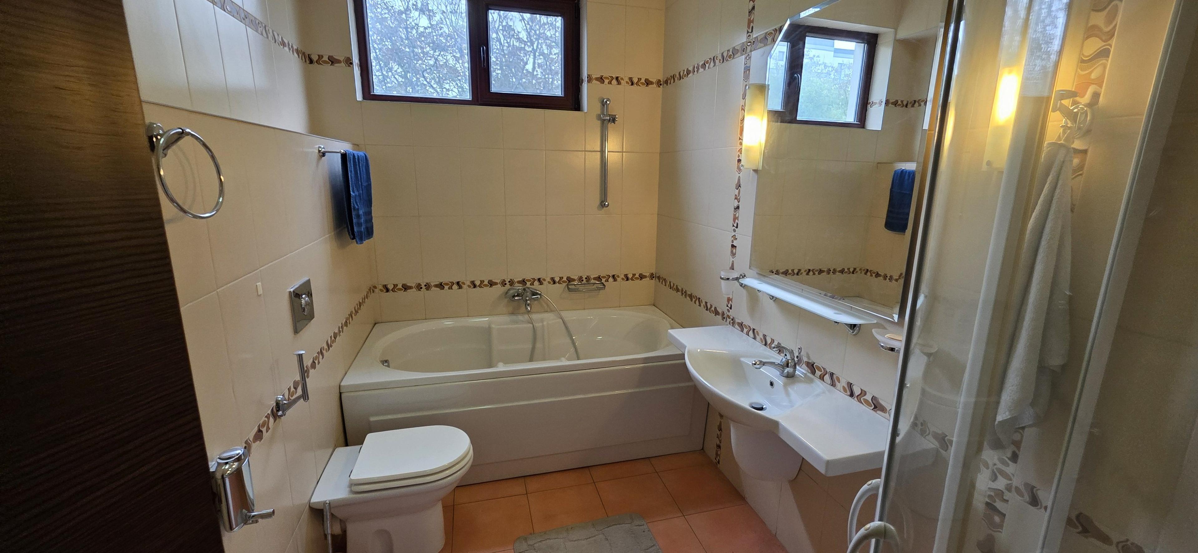 Baneasa Teisani vila 7 camere teren 1000 mp - 32