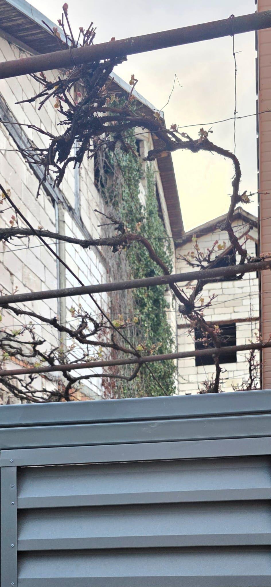 Proprietate exclusivistă cu potențial investițional remarcabil – zonă - 1