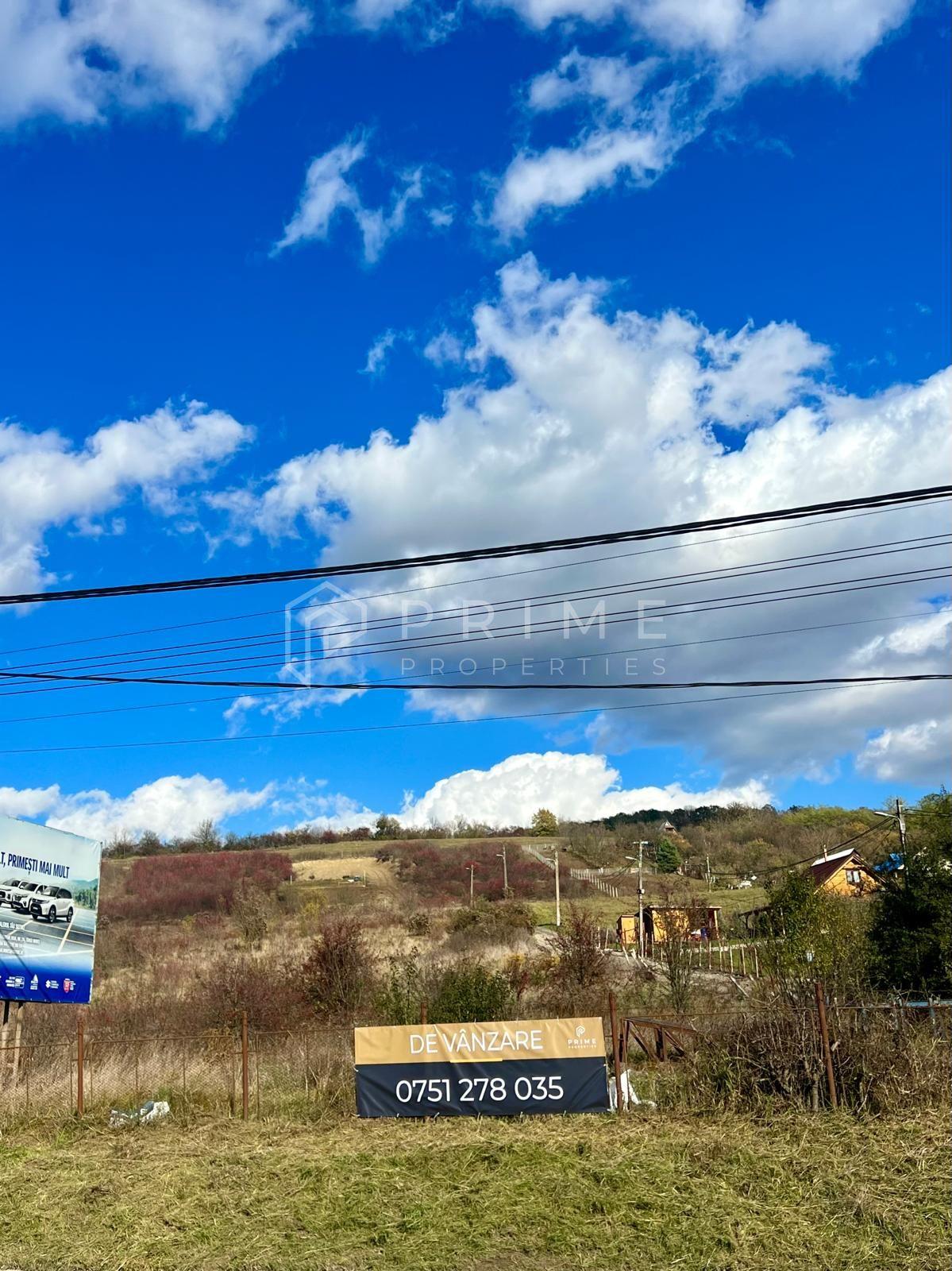 Teren cu potențial multiplu de dezvoltare – Corunca, E60, 17.000 mp - 1