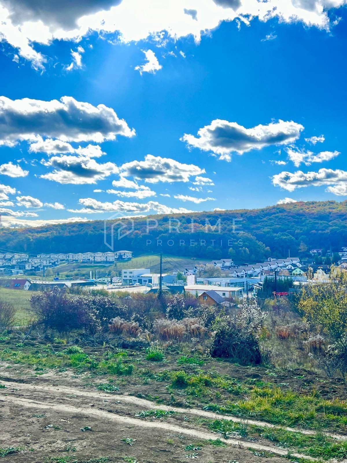 Teren cu potențial multiplu de dezvoltare – Corunca, E60, 17.000 mp - 2