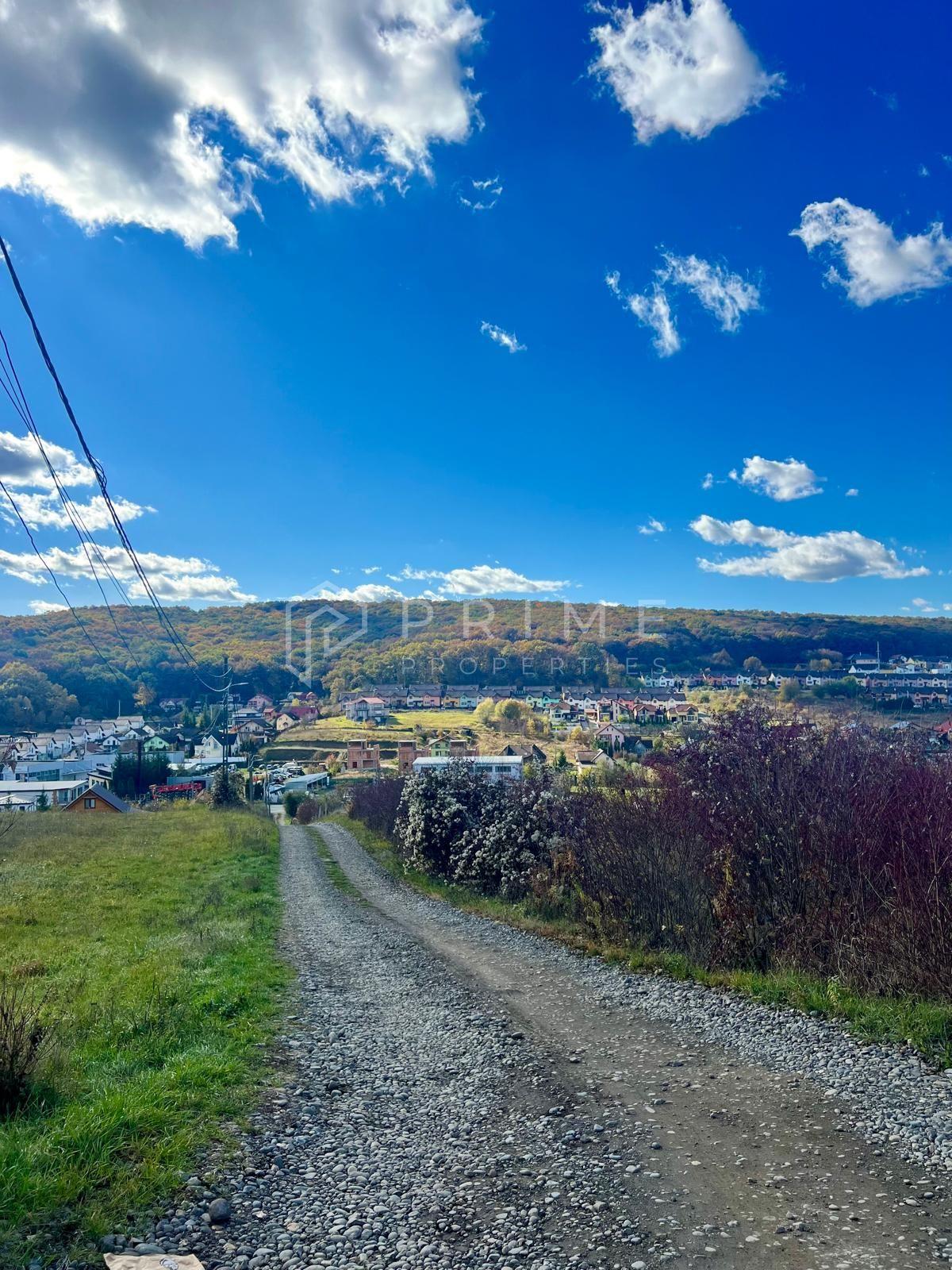 Teren cu potențial multiplu de dezvoltare – Corunca, E60, 17.000 mp - 3