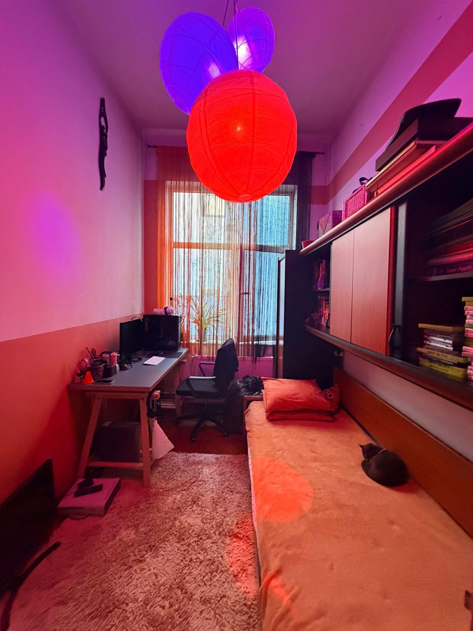 Casa individuală | Strada Plantelor | Curte proprie - 18