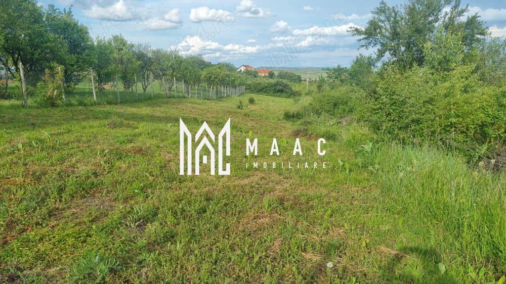 Teren intravilan de vânzare Daia Nouă | 1000 mp | Ideal pentru construcție - 6