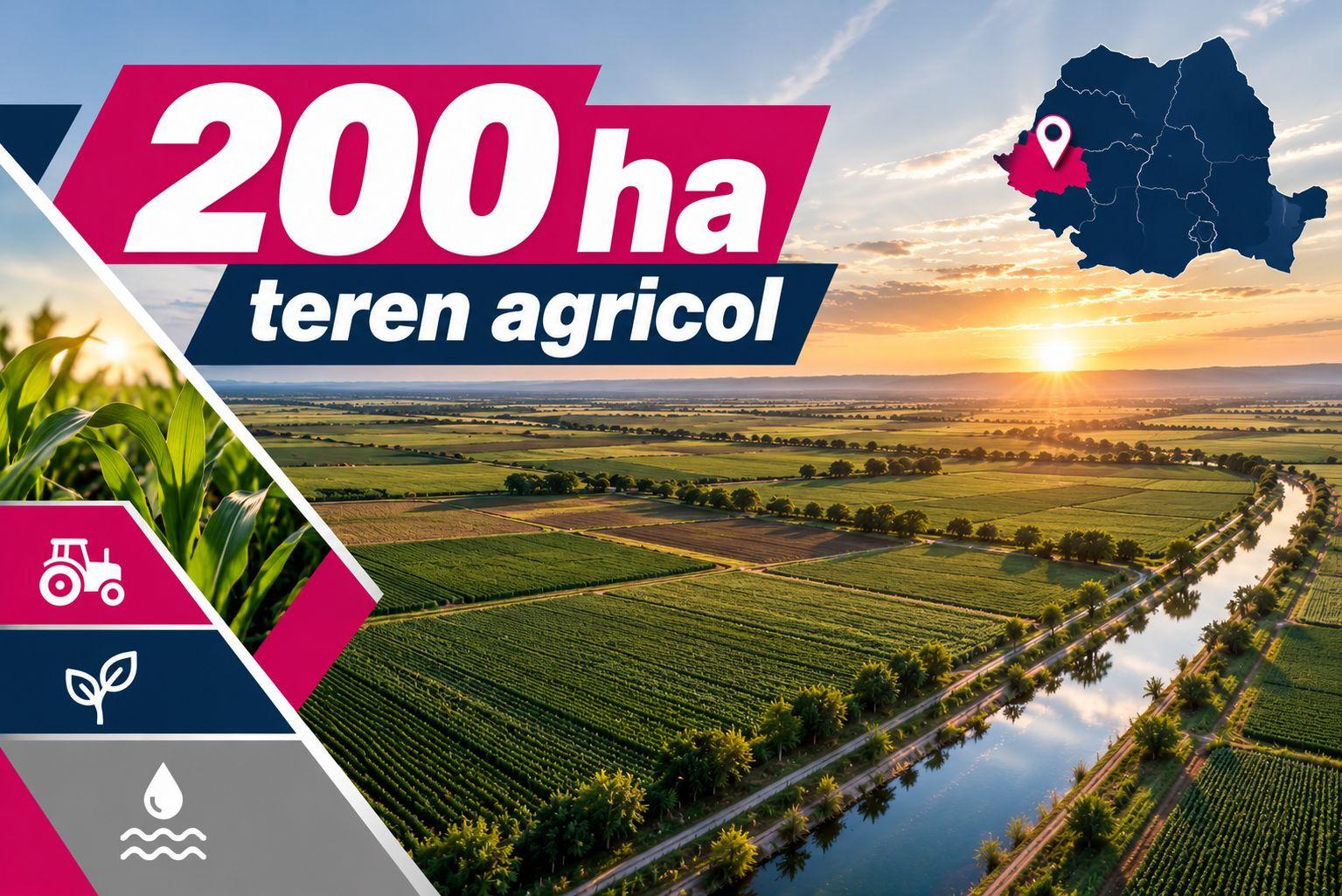 200 ha teren agricol de vanzare in Arad - 2