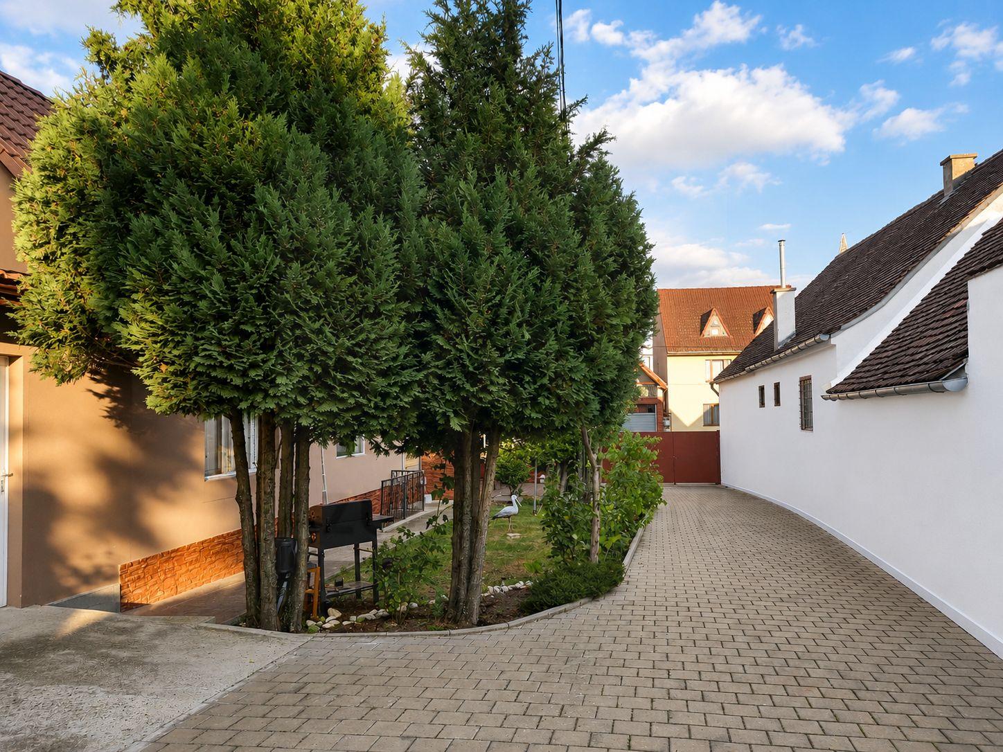Casă cu 2 apartamente 140 mp utili pivnita si curte 289 mp in Turnișor - 1