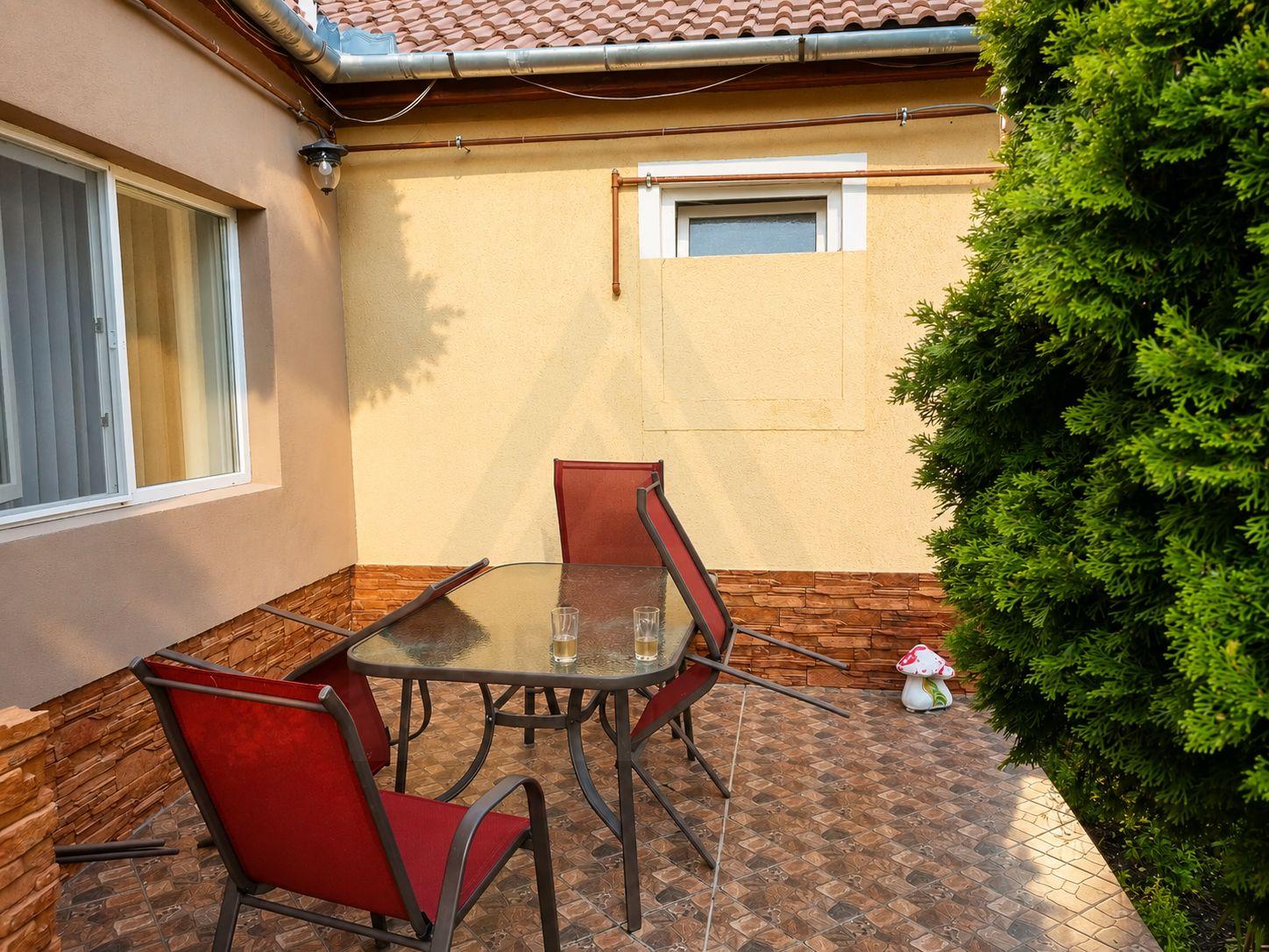 Casă cu 2 apartamente 5 camere 140 mp utili curte 289 mp in Turnișor - 3