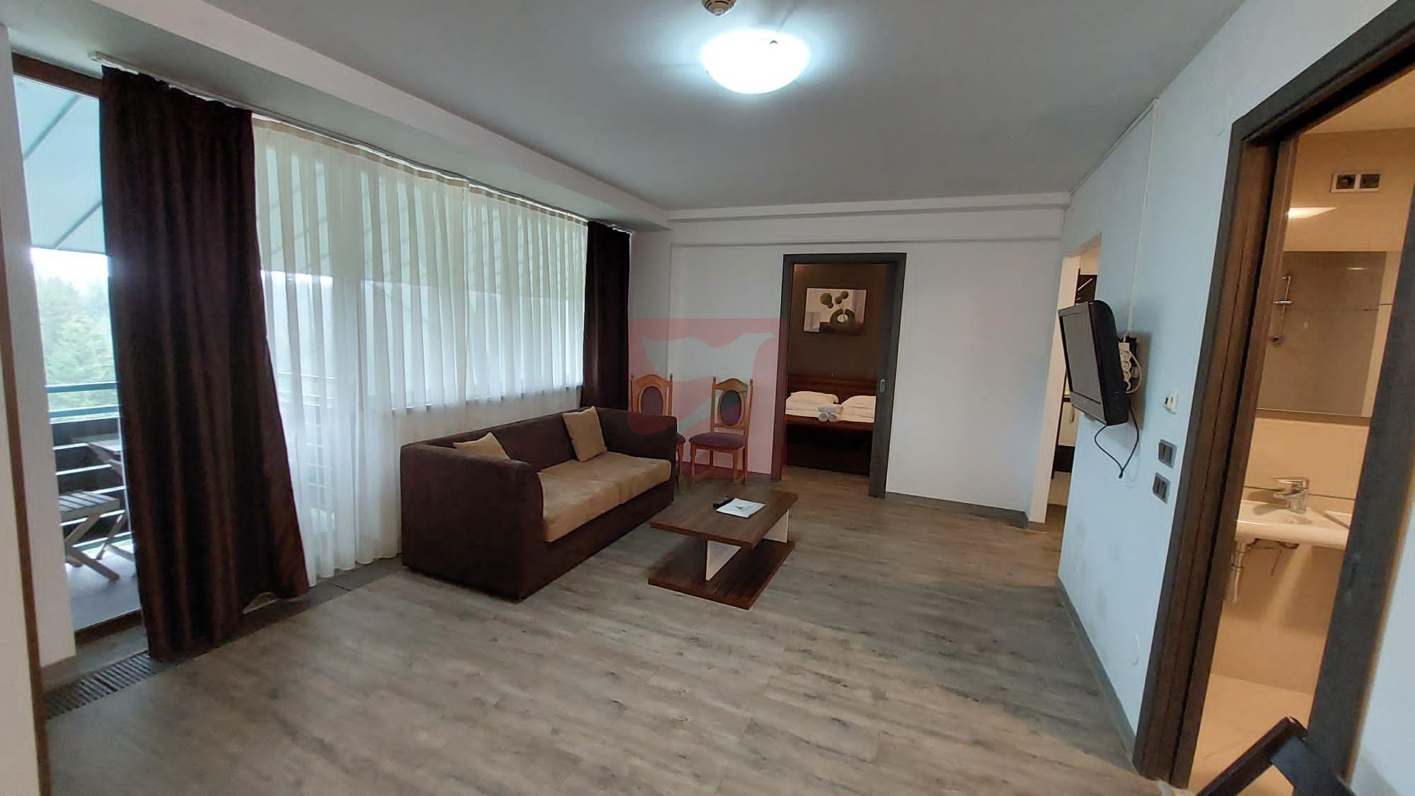 2 camere, intim, semineu, Silver Mountain - 1