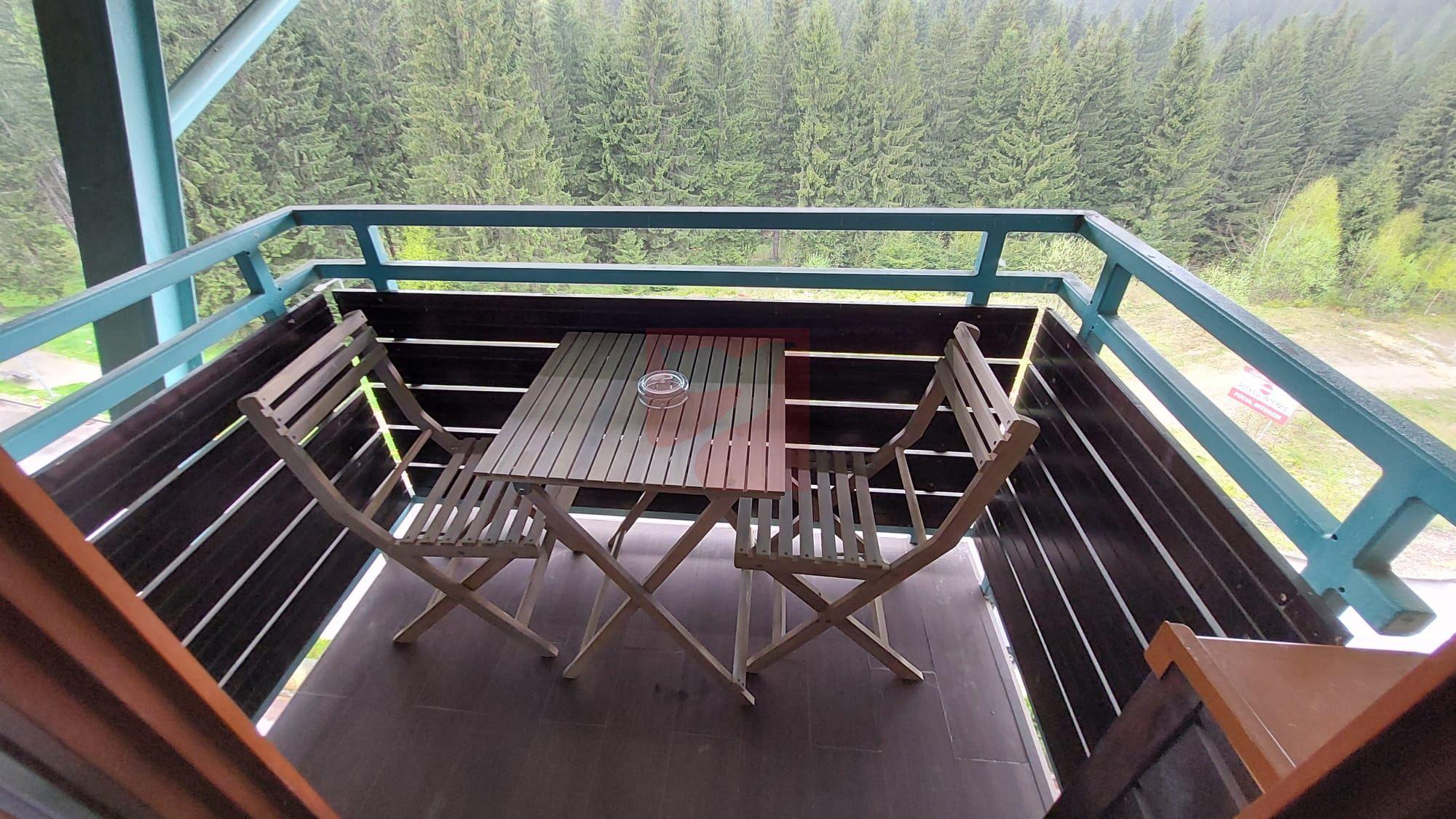 2 camere, intim, semineu, Silver Mountain - 15
