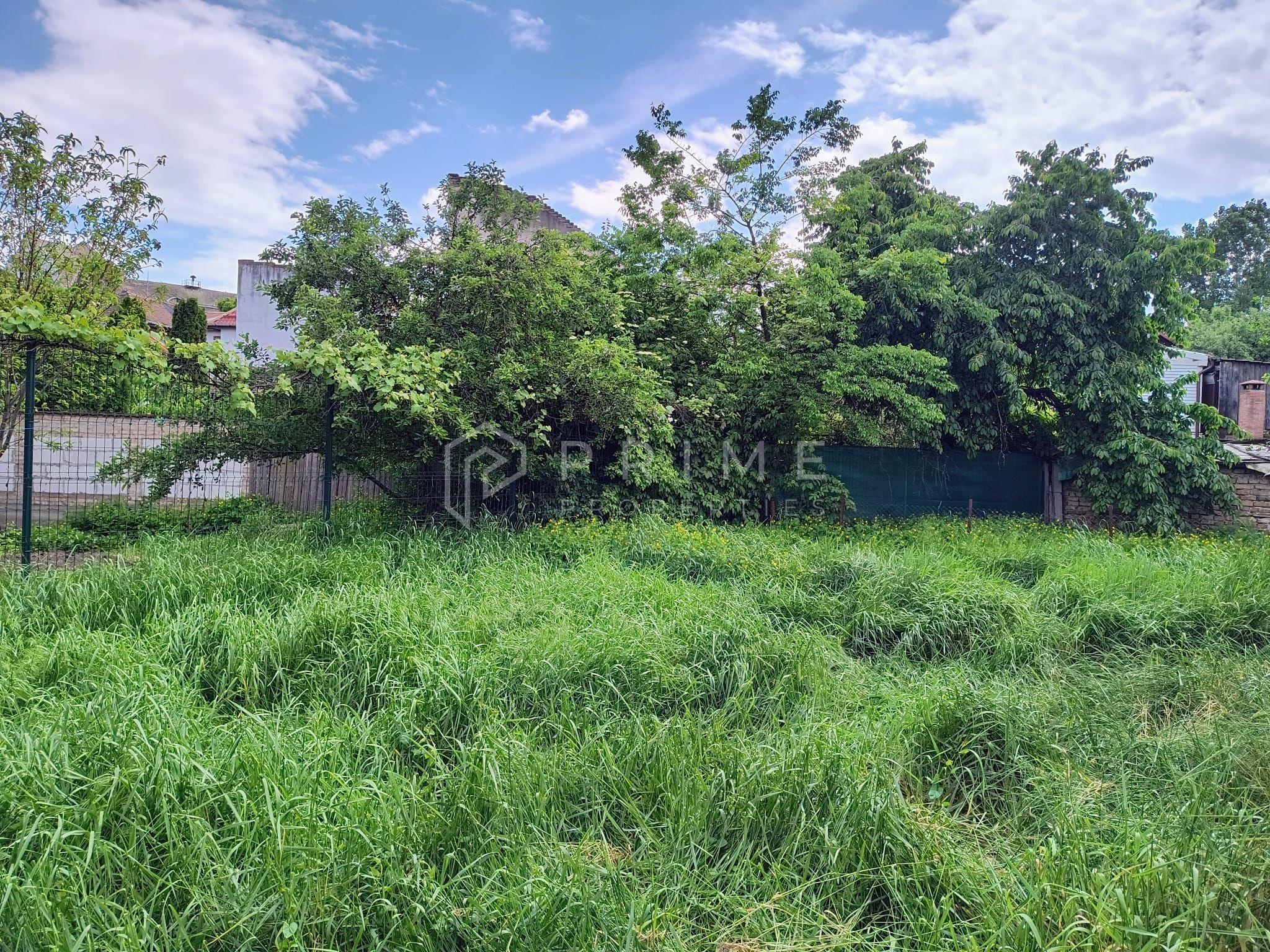 Casă de Vânzare în zonă centrală | 544 mp teren, zonă liniștită - 3