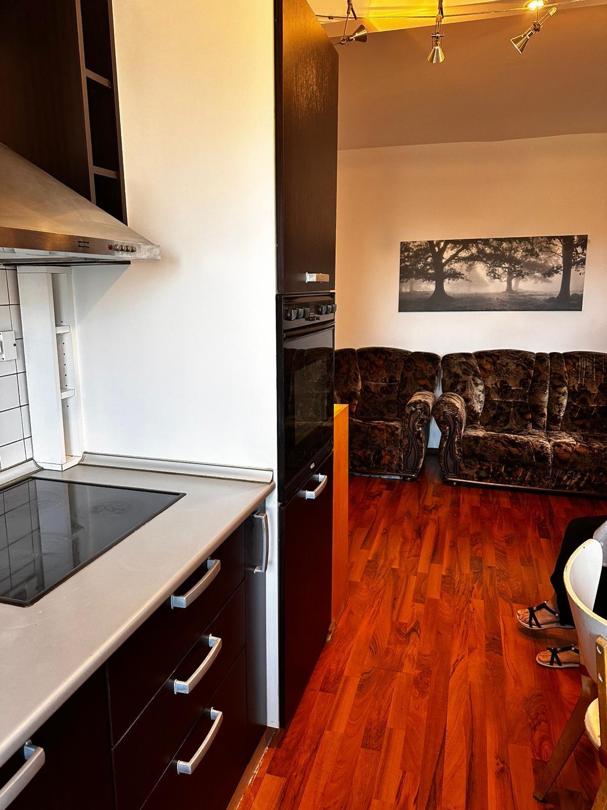 Apartament 2 camere de închiriat mobilat în Banu Manta – Titulescu, - 23
