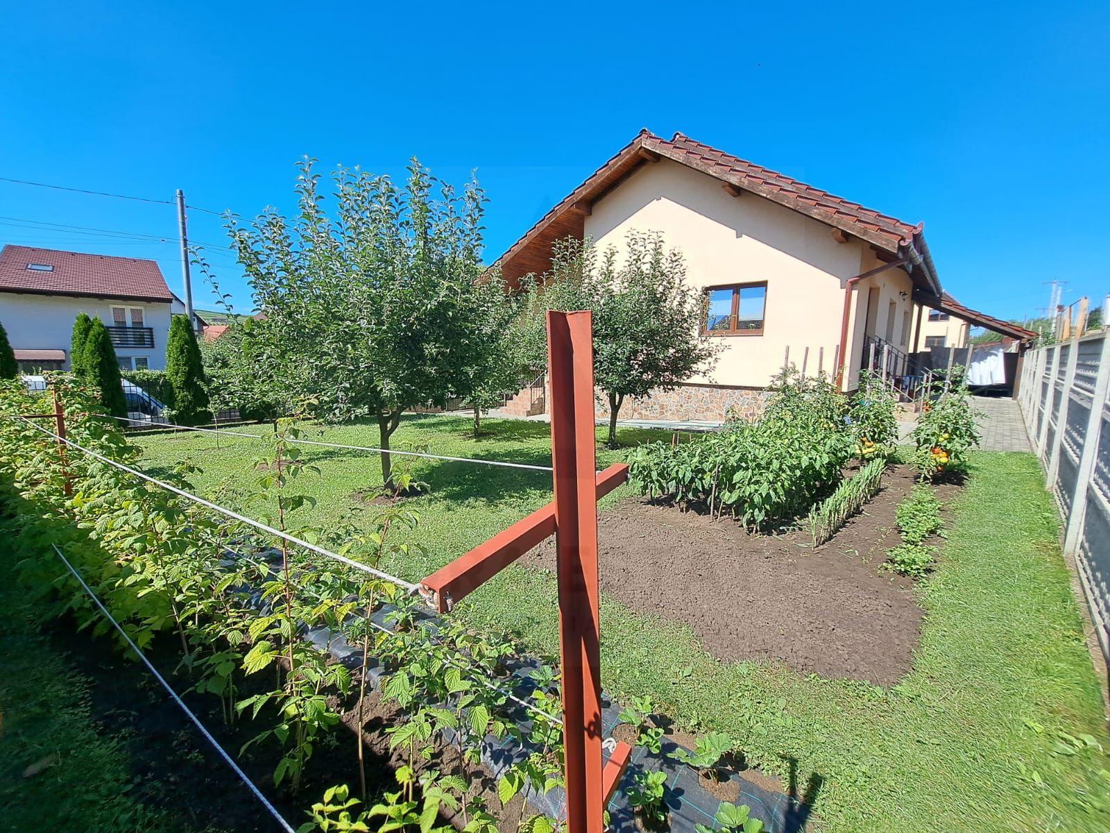 Casă individuală 5 camere cu garaj curte si gradină Șura Mare - 14