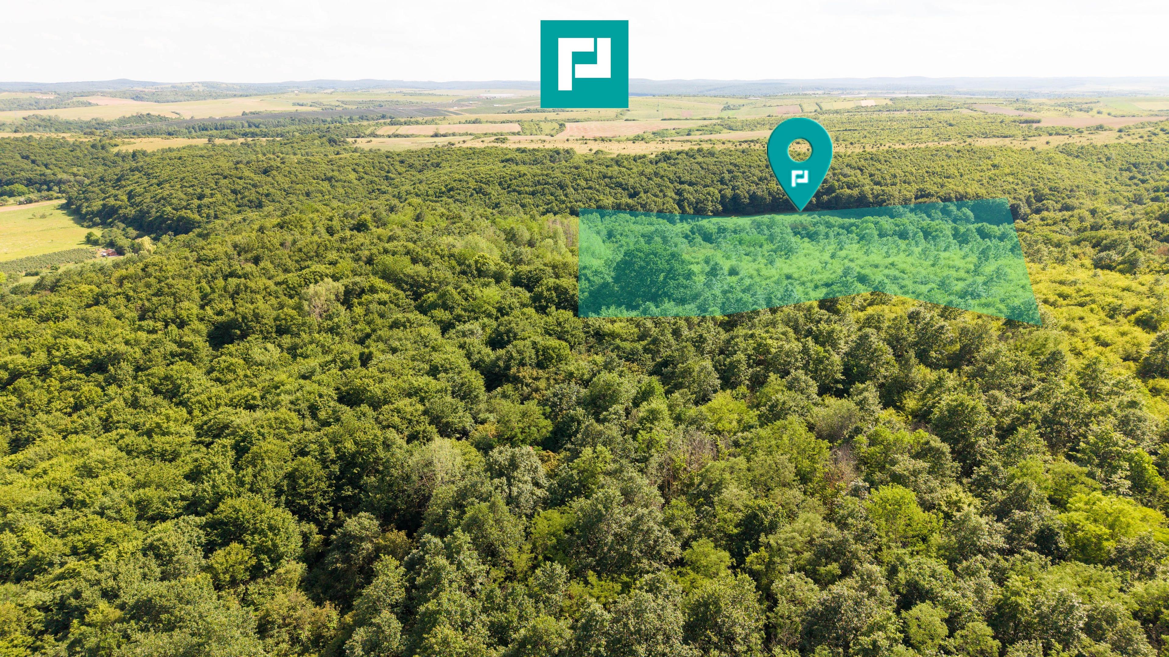 TEREN AGRICOL EXTRAVILAN 22.900 MP LIPOVA - 1