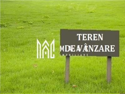 Teren extravilan | 12.300 mp | Zona Dedeman - 2