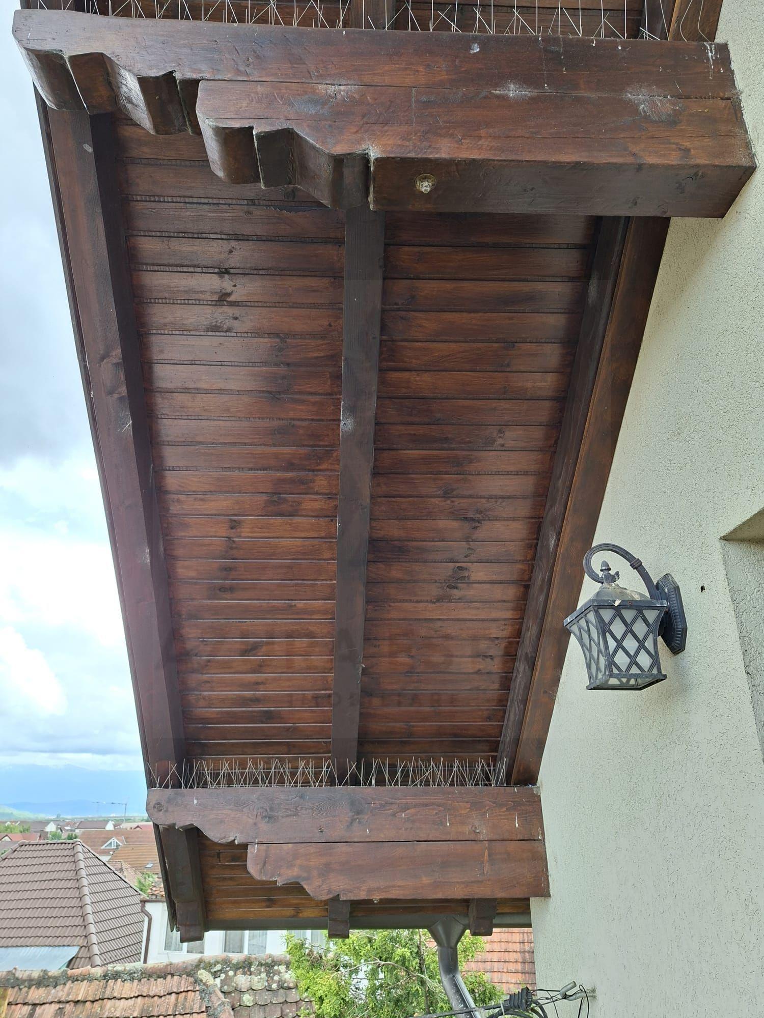 Casa individuala 5 camere 2 bai cu pivnita si pod in Selimbar - 12