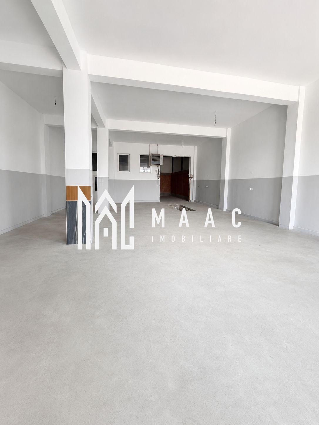 Hală industrială | 500 mp | Curte 600 mp | Zona Terezian - 3