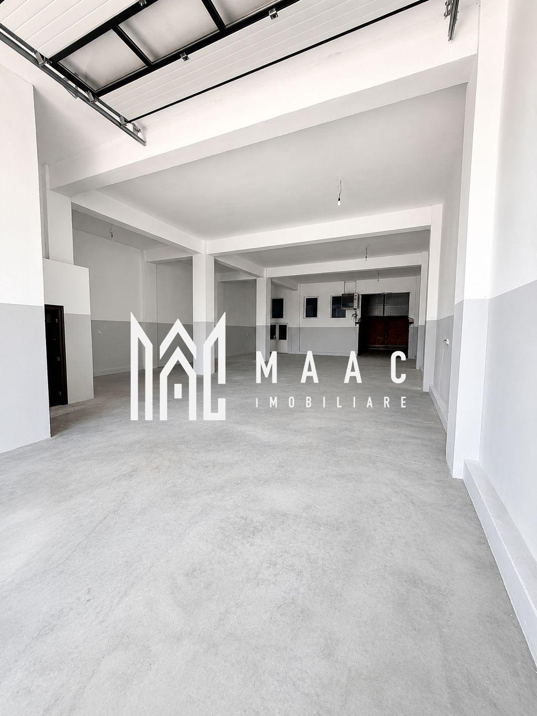 Hală industrială | 500 mp | Curte 600 mp | Zona Terezian - 2
