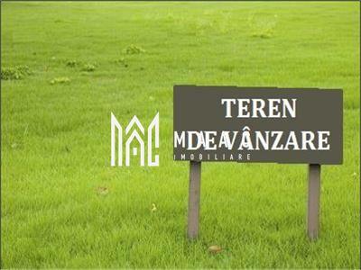 Teren intravilan I 2614MP I PUZ I Investitie I Lazaret - 2