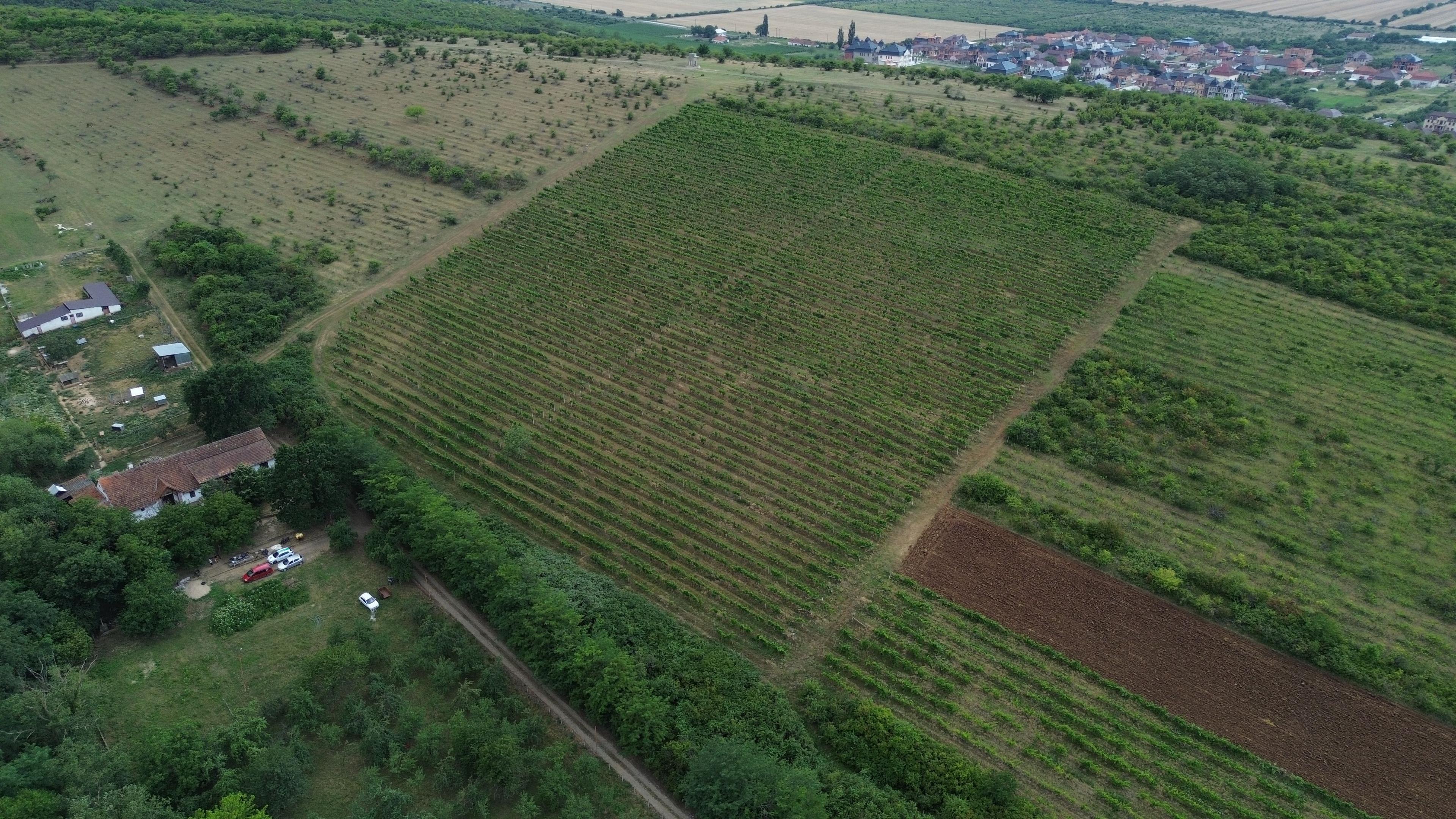 Conac rustic cu 7 camere în Covăsânț și teren 9 ha - 11