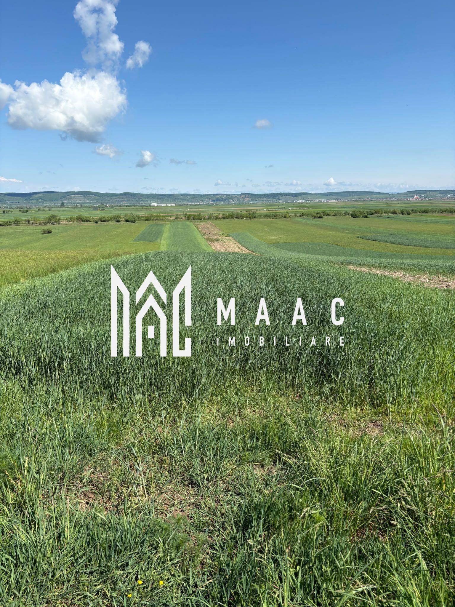 Teren extravilan 2393 mp | Gura Râului | acces, Carte Funciară - 1