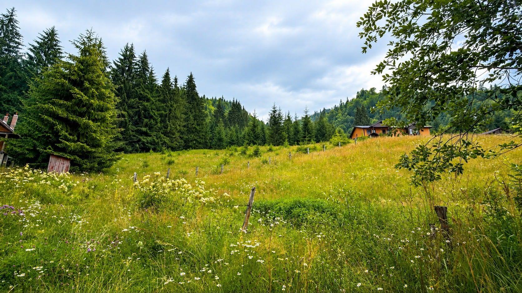 TEREN DE VÂNZARE – cu priveliste spre lac ! - 5