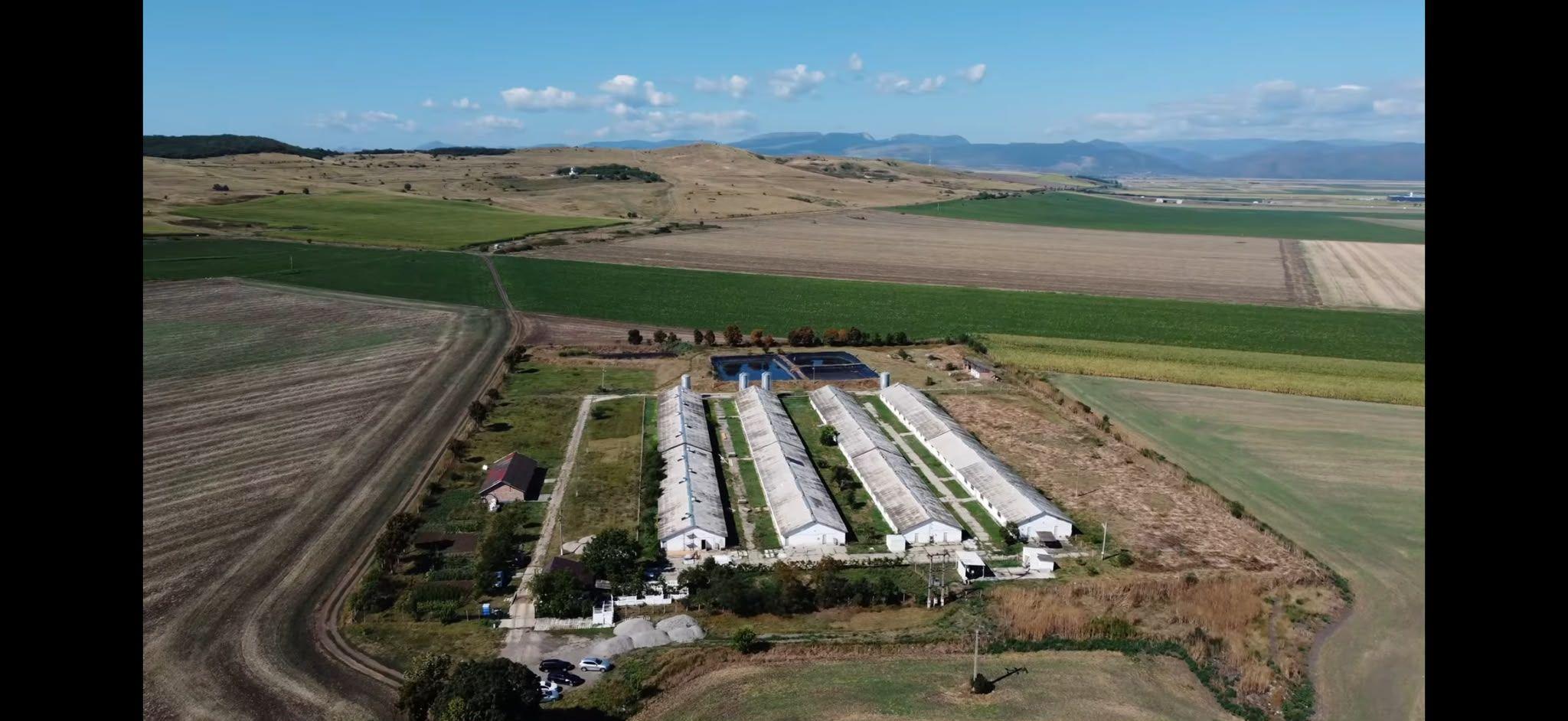 Ferma/ Hala industriala de vanzare, Bogata, Cluj - 1