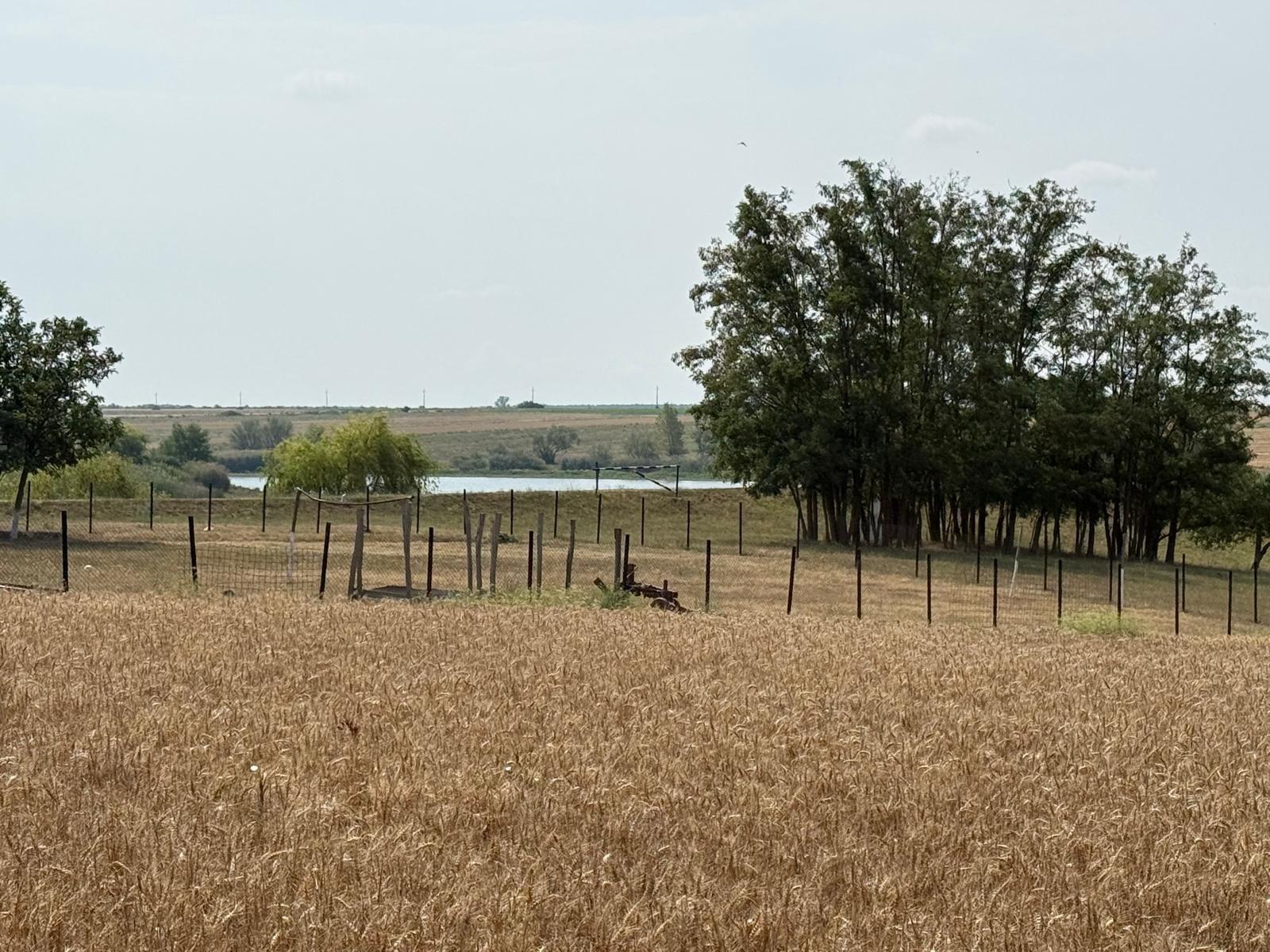 Teren intravilan Miersig, vedere la lac. 12,5 E/mp neg. Comision 0 - 4