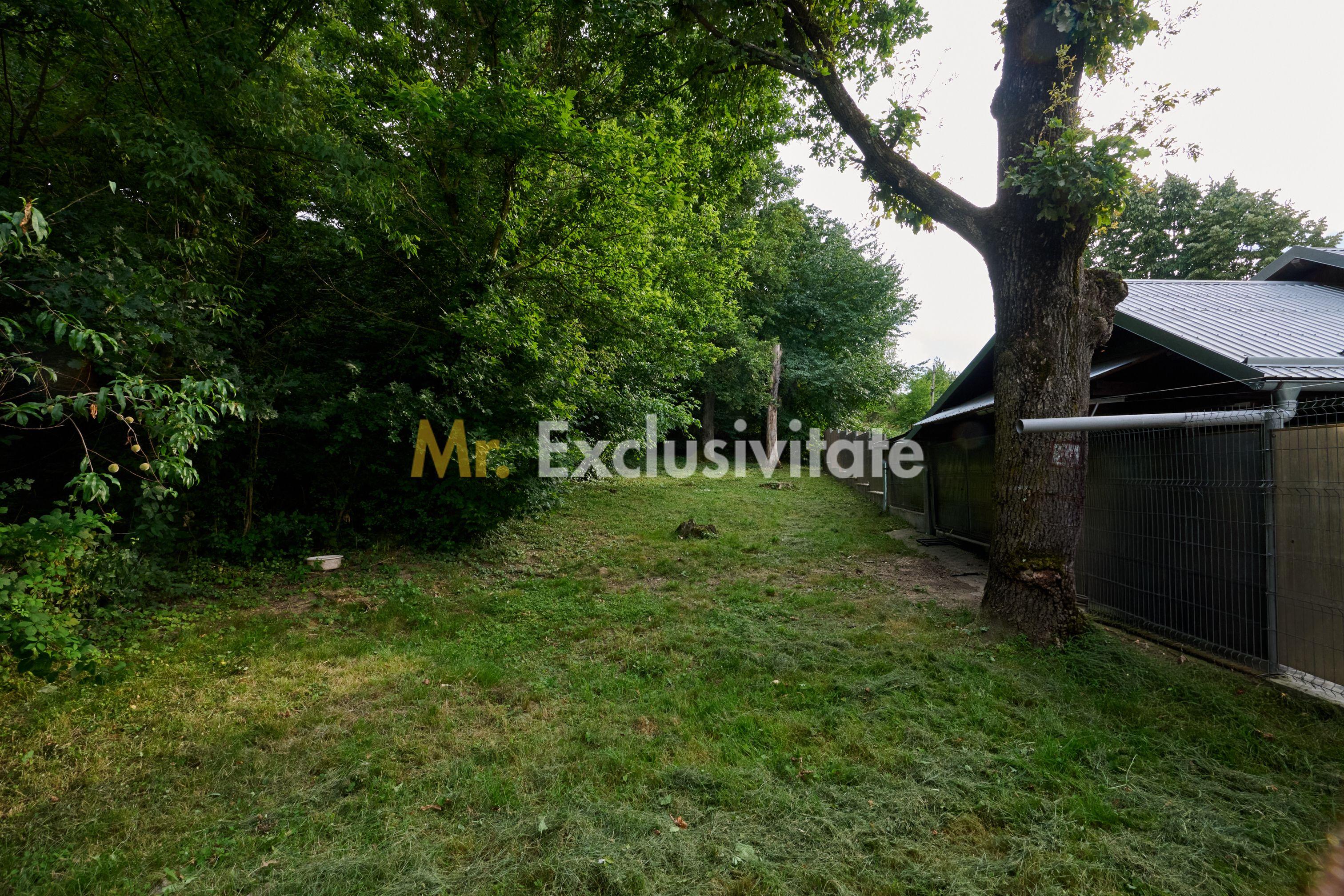 Casa P+ 1+ teren 507 mp cu vecin padurea Pitesti - 20
