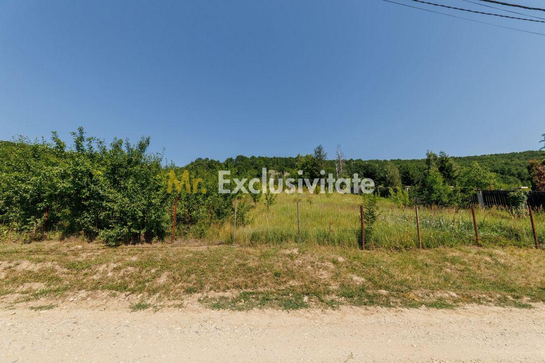 Teren intravilan Ștefănești Valea Mare Podgoria - 6