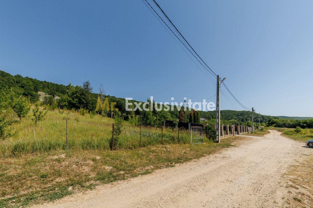 Teren intravilan Ștefănești Valea Mare Podgoria - 3