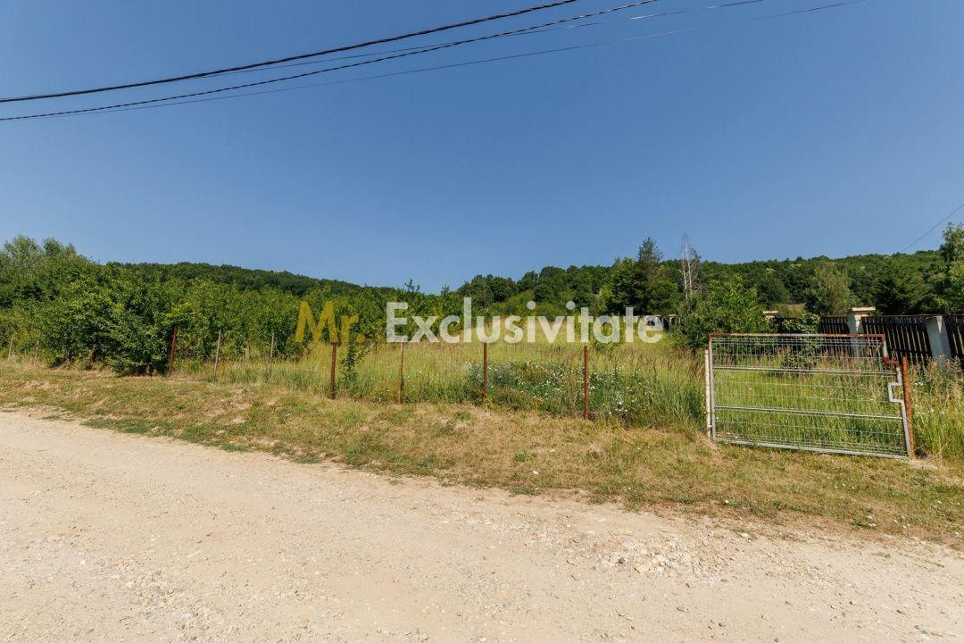 Teren intravilan Ștefănești Valea Mare Podgoria - 1