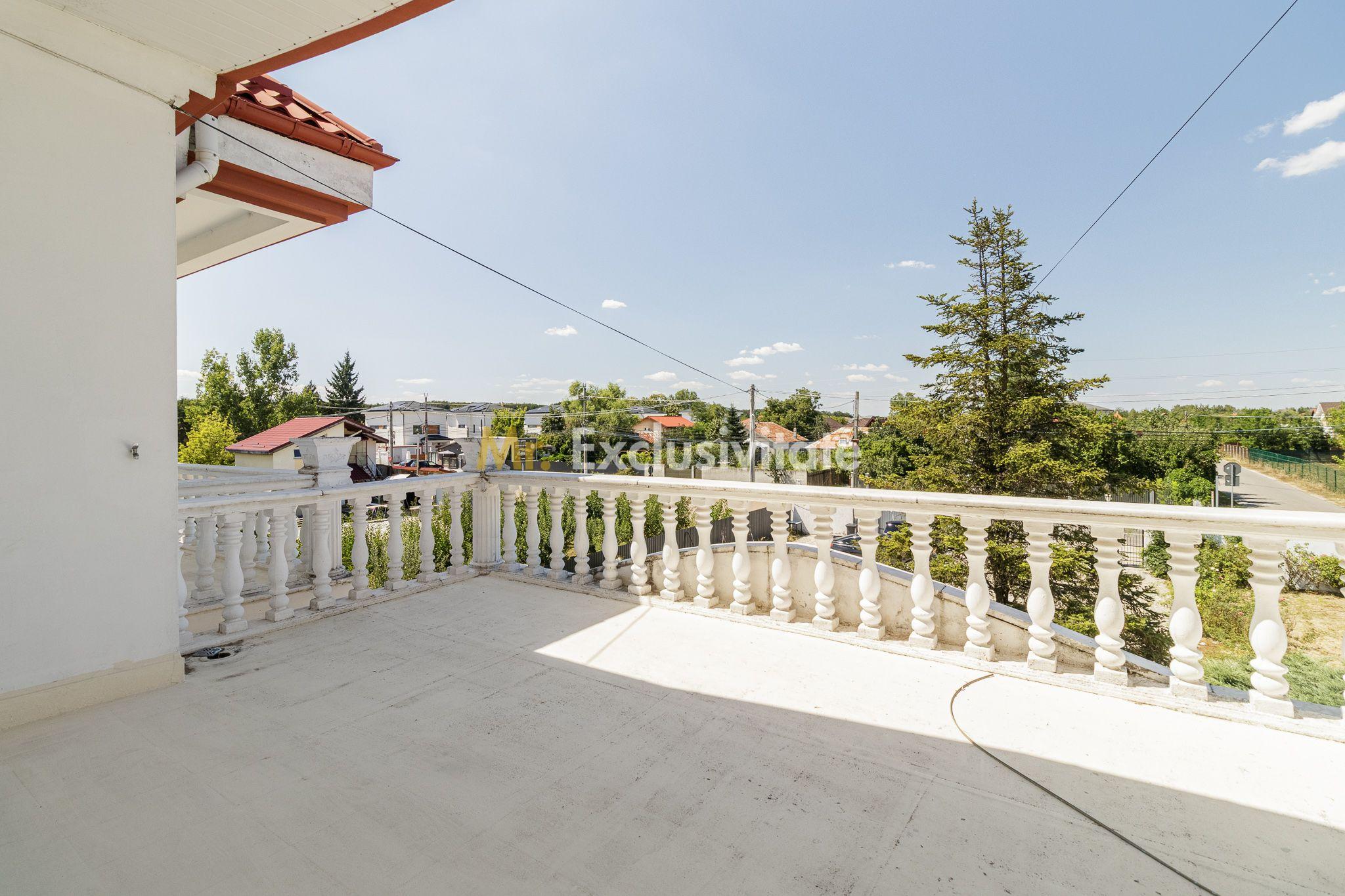 Domeniu privat 5.000 mp, cu reședință de 625 mp și piscină, Corbeanca - 29