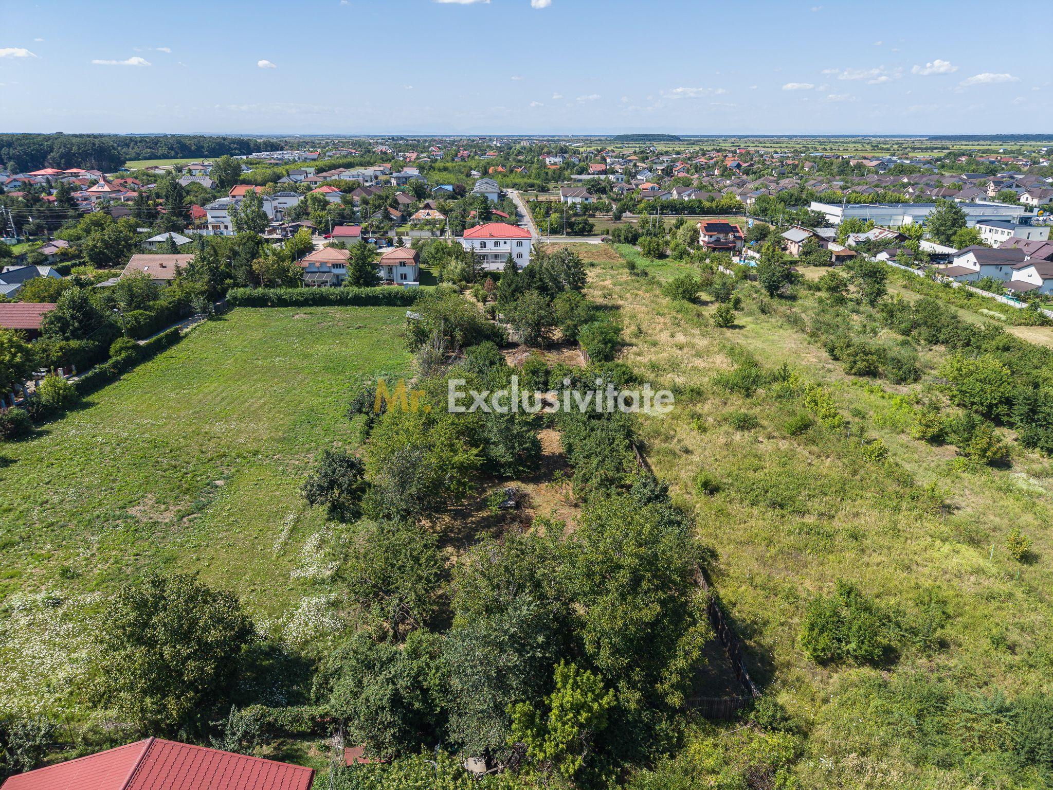 Domeniu privat 5.000 mp, cu reședință de 625 mp și piscină, Corbeanca - 45