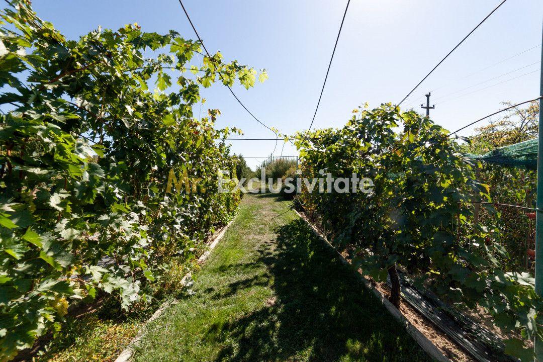 Casa visurilor cu 4000 mp livada roditoare si gradina Darmanesti-Arges - 18
