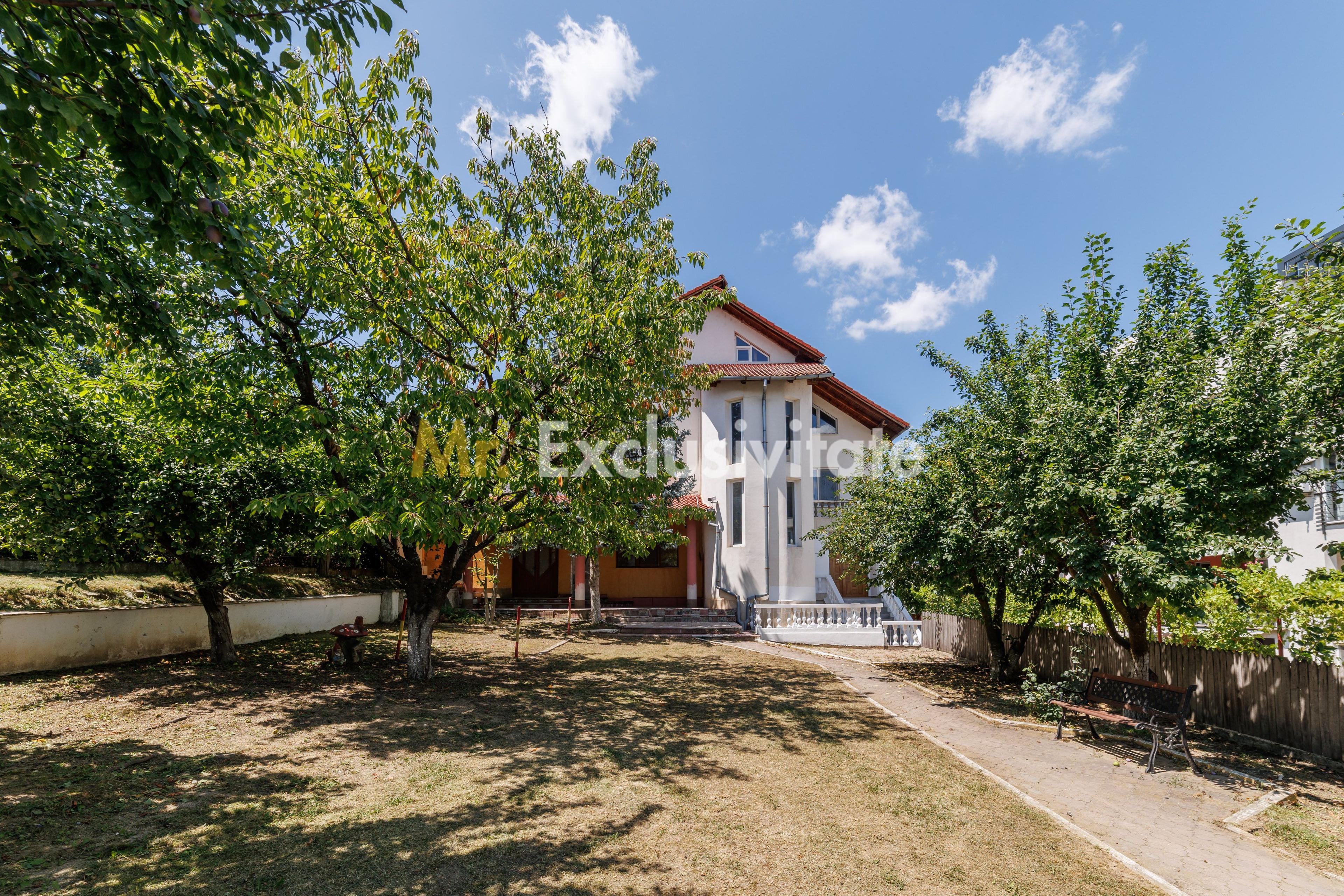 Proprietate multifunctionala | Doua cladiri | 581 mp | Pitesti - 33