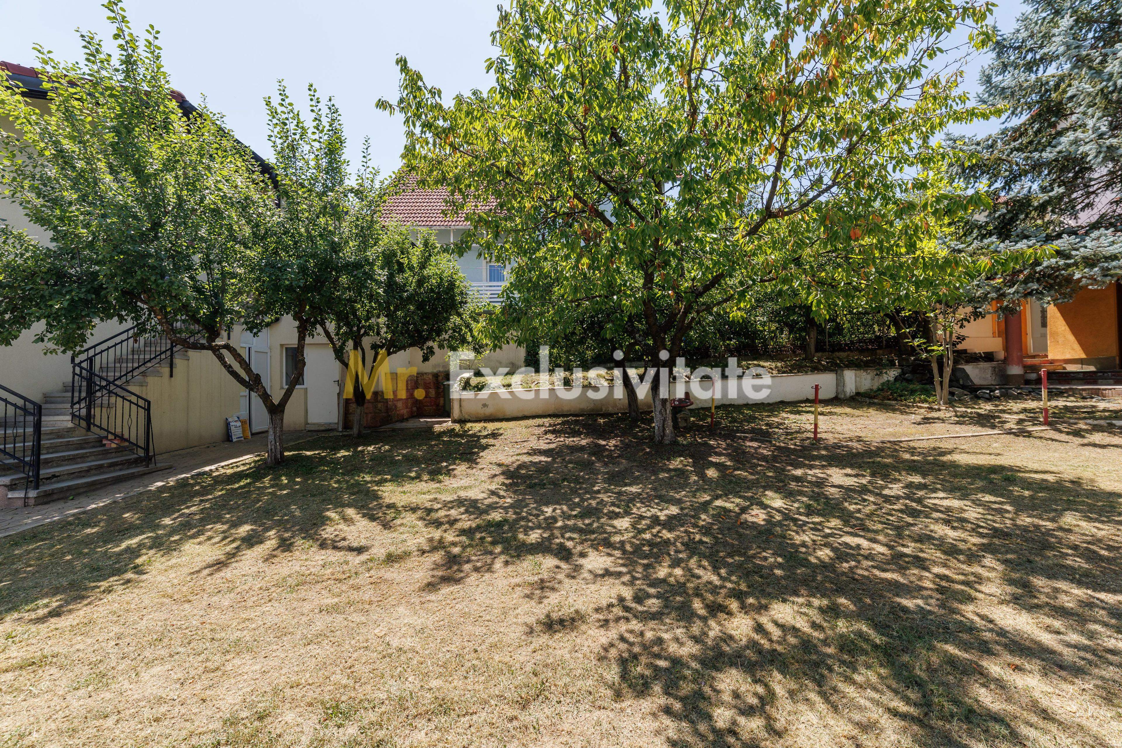 Proprietate multifunctionala | Doua cladiri | 581 mp | Pitesti - 34