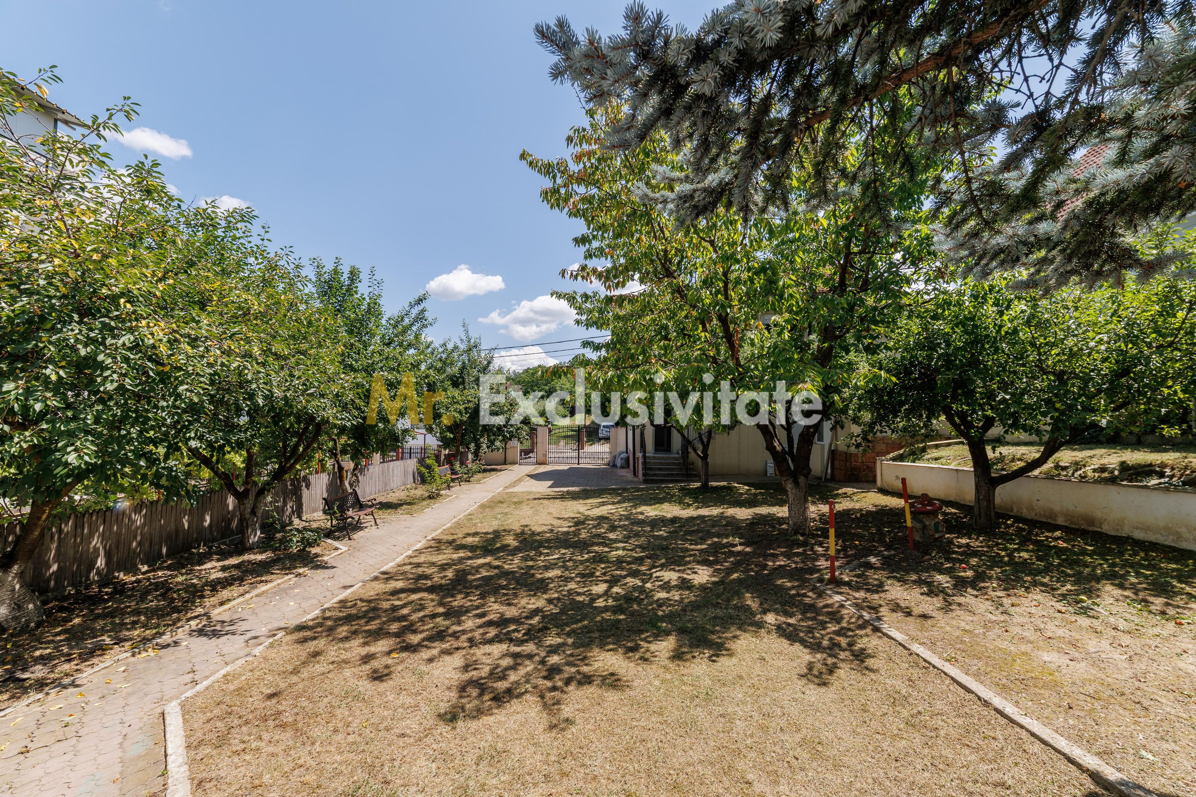 Proprietate multifunctionala | Doua cladiri | 581 mp | Pitesti - 31