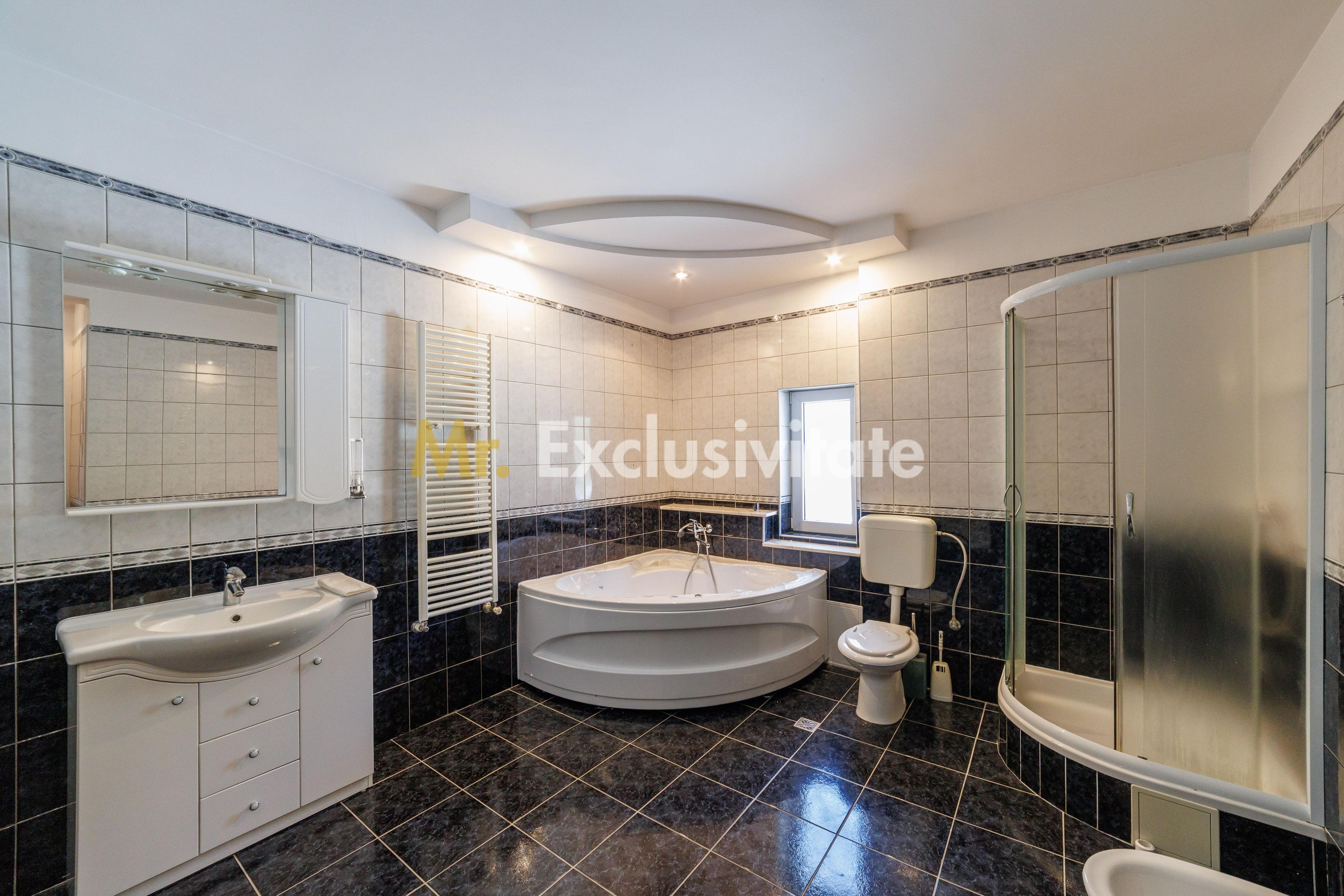 Proprietate multifunctionala | Doua cladiri | 581 mp | Pitesti - 16