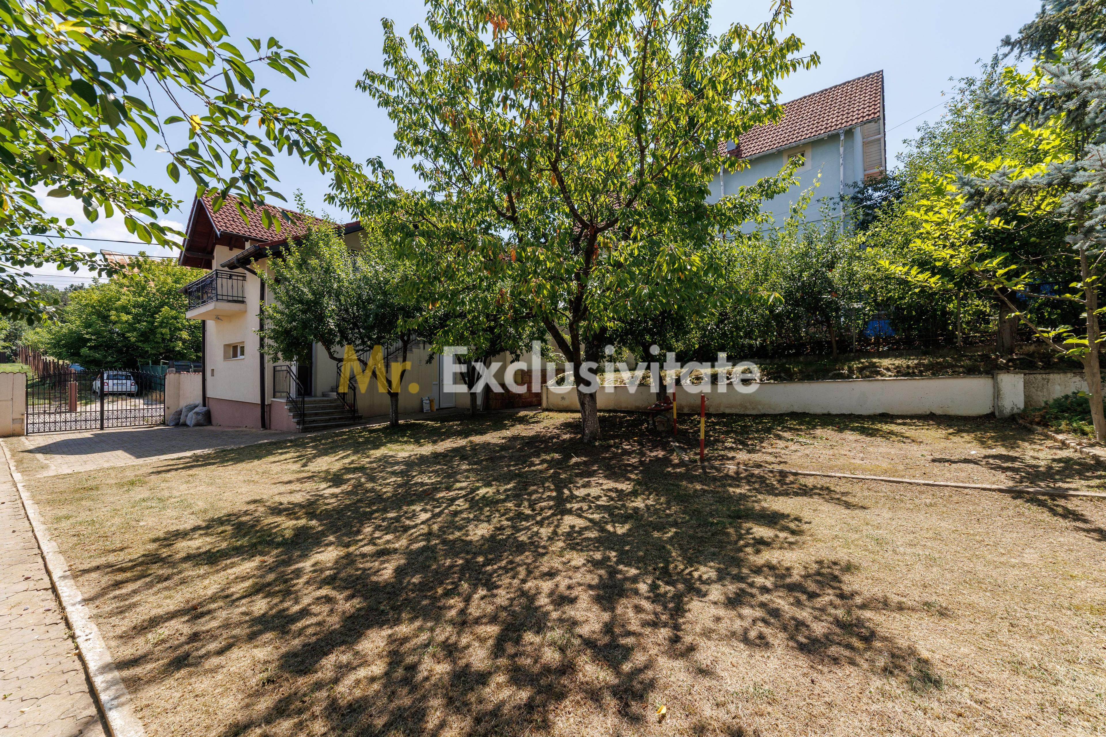Proprietate multifunctionala | Doua cladiri | 581 mp | Pitesti - 30