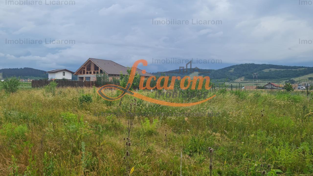 De vanzare teren 502 mp Harman Aleea 14 pret 40000 euro - 5